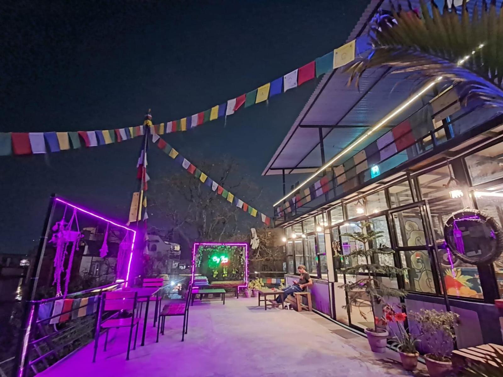 Big Tree Hostel 加德满都 外观 照片